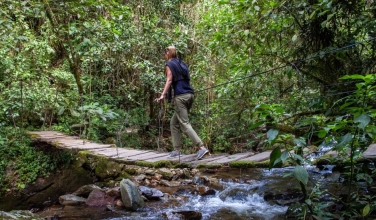 Tres viajes para celebrar el Día de La Tierra en Colombia